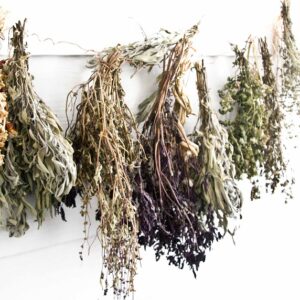 Workshop smudgekruiden