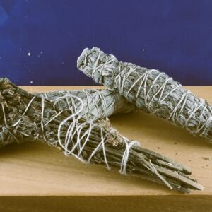 Salie-(Salvia officinalis)