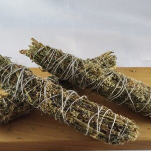 Citroengele honingklaver, (Melilotus officinalis)