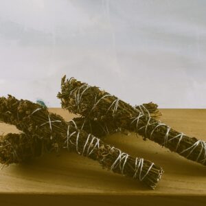 Sint-janskruid (Hypericum perforatum)